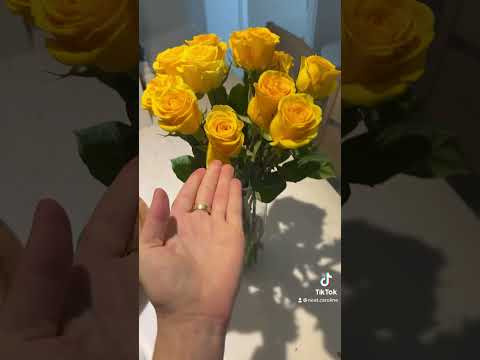 Як доглядати за кімнатними орхідеями Як доглядати за кімнатними орхідеями